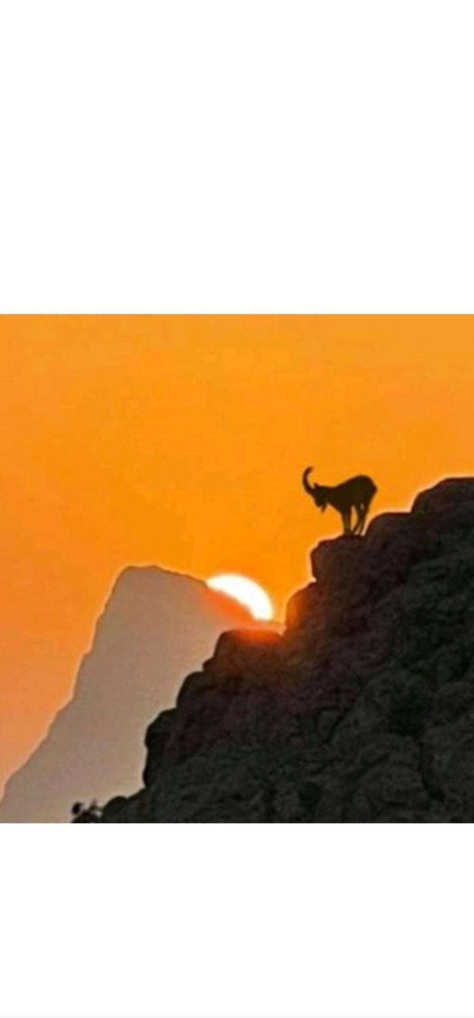 جبل شمس Jabal Shams Sunset House Villa Dar Sawda Exteriör bild